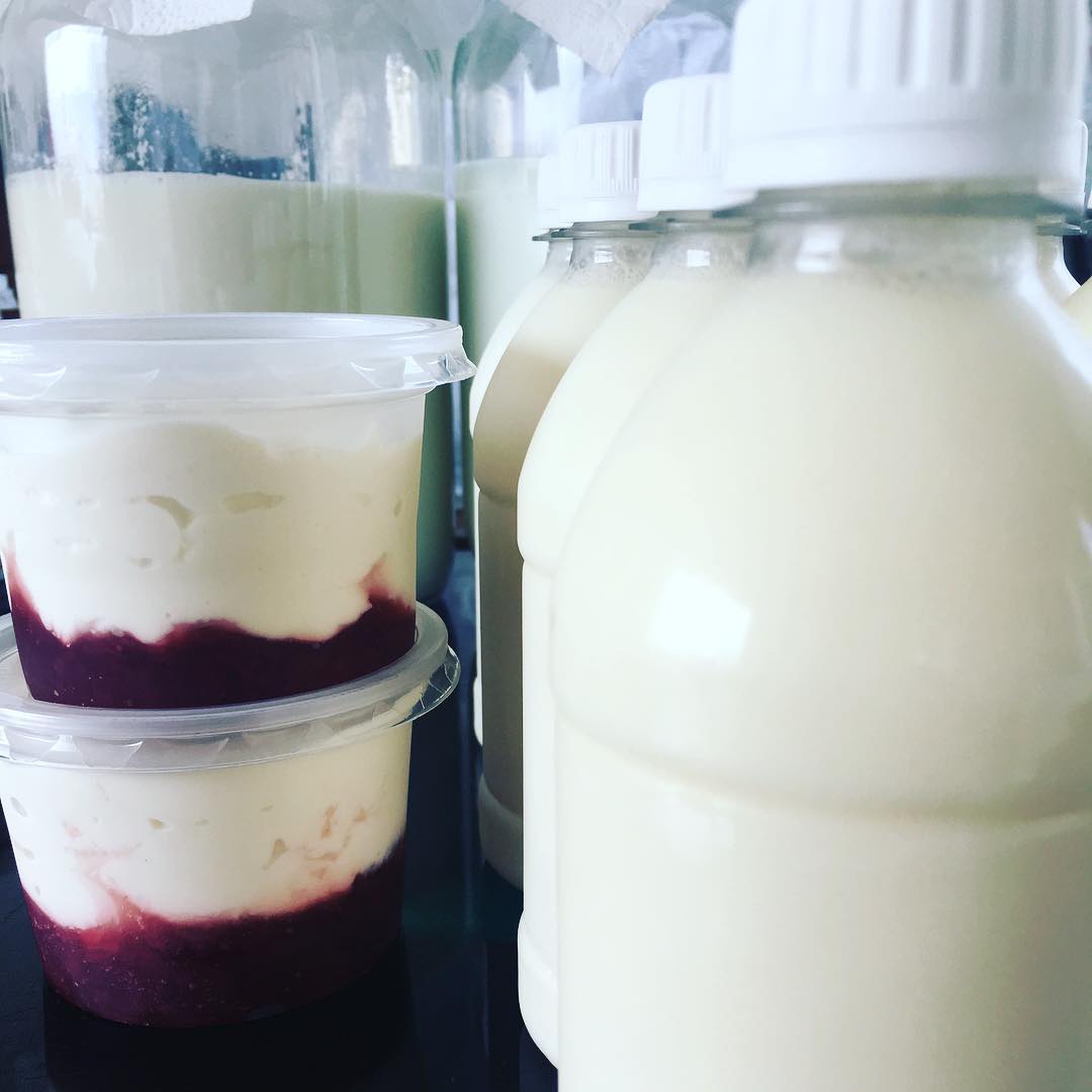 kefir de leche probiótico